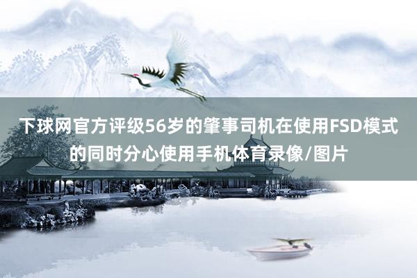 下球网官方评级56岁的肇事司机在使用FSD模式的同时分心使用手机体育录像/图片